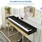 88-key Full Size Digital Piano Weighted Keyboard With Sustain Pedal